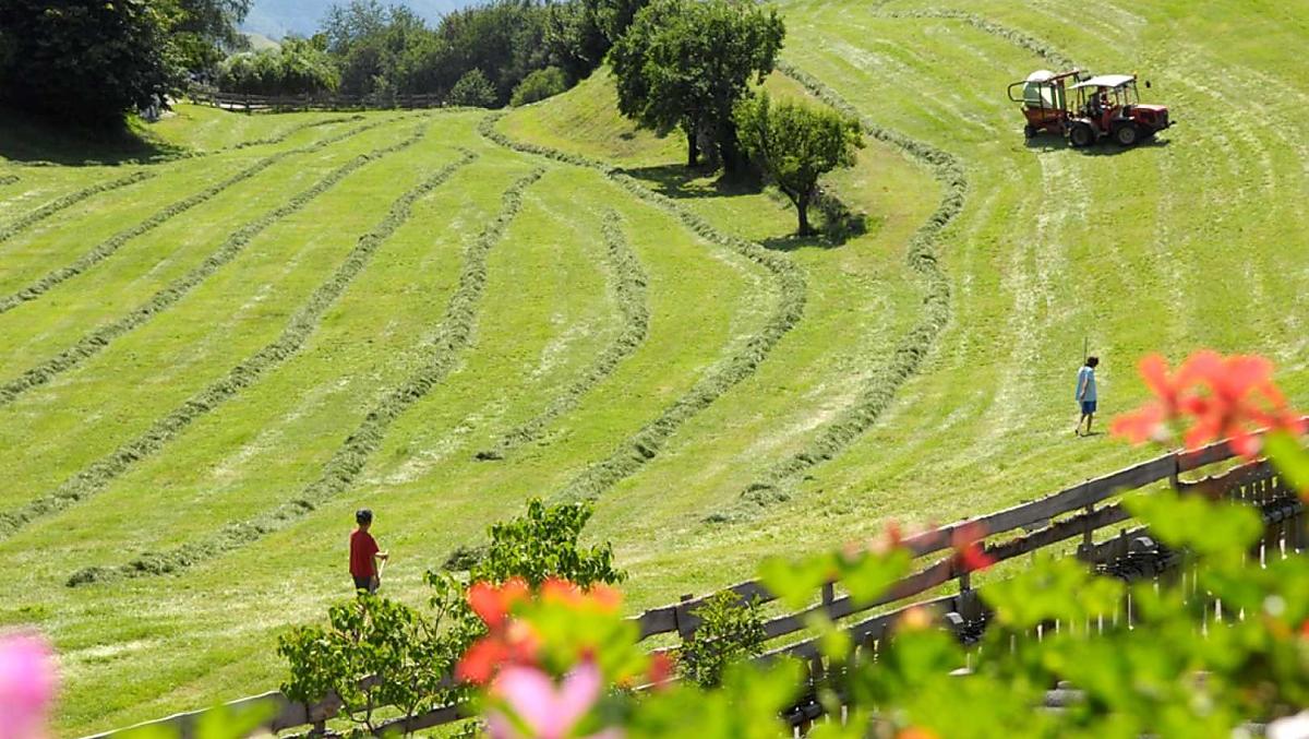 Florerhof - Bildergalerie Photo