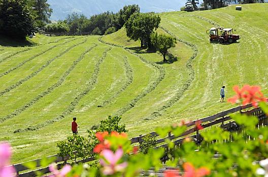 Florerhof - Liste Photo