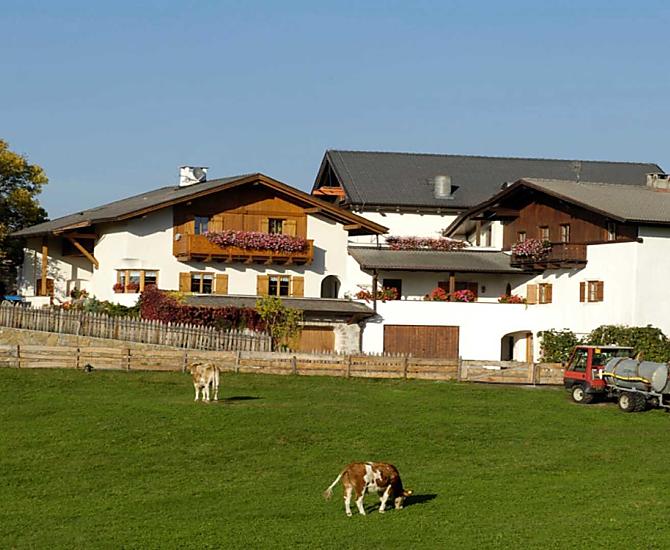 L'estate è tempo di escursioni. Il nostro maso Florerhof è il punto di partenza ideale per escursioni nella zona dello Sciliar. Aprite la porta e iniziate a camminare.