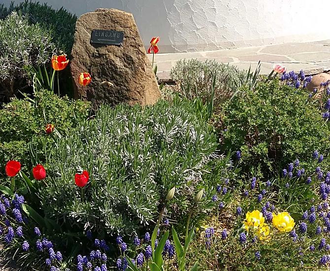 Florerhof - Bildergalerie Photo