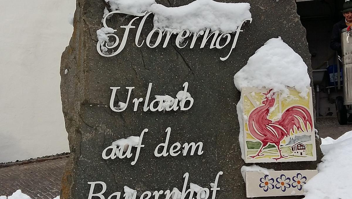 Florerhof - Bildergalerie Photo