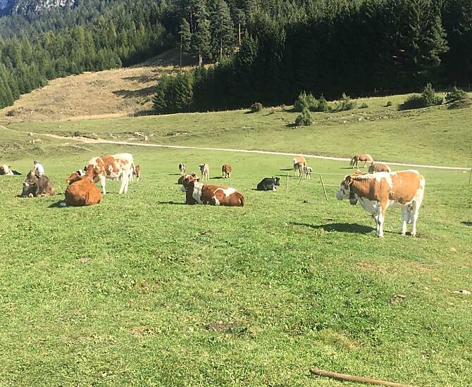 Florerhof - Bildergalerie Photo