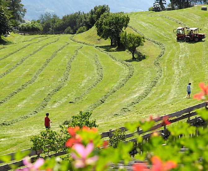 Florerhof - Bildergalerie Photo