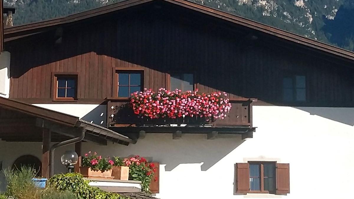 Florerhof - Bildergalerie Photo