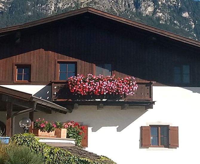 Florerhof - Bildergalerie Photo