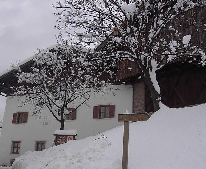 Per le vostre vacanze invernali vi offriamo, oltre alla posizione non lontana dall'area sciistica dell'Alpe di Siusi, un deposito sci e una sauna per rilassarvi.