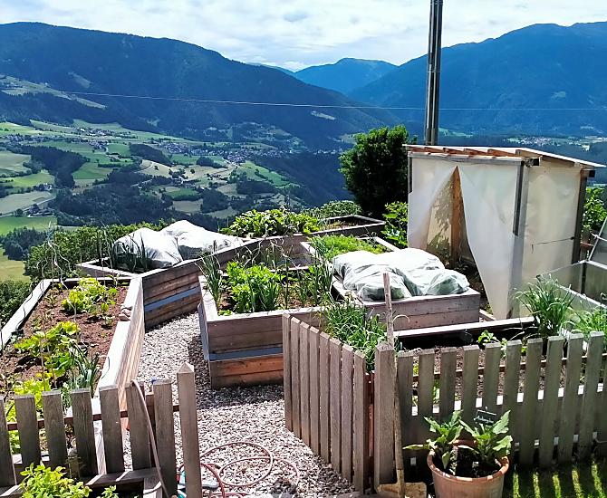 Verdure dell'orto