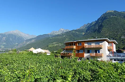 Il Weinmesserhof im Weinberg