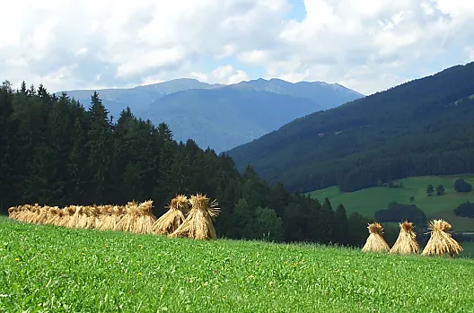 Altmessnerhof - Liste Photo