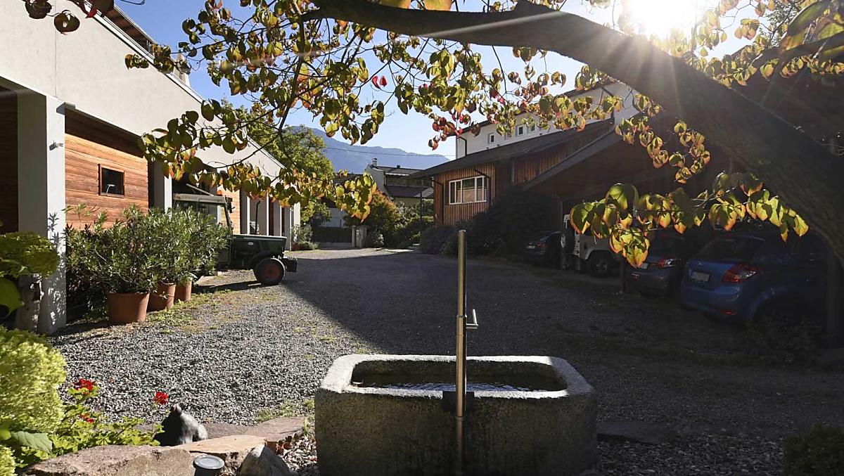 Cortile