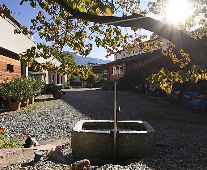 Cortile