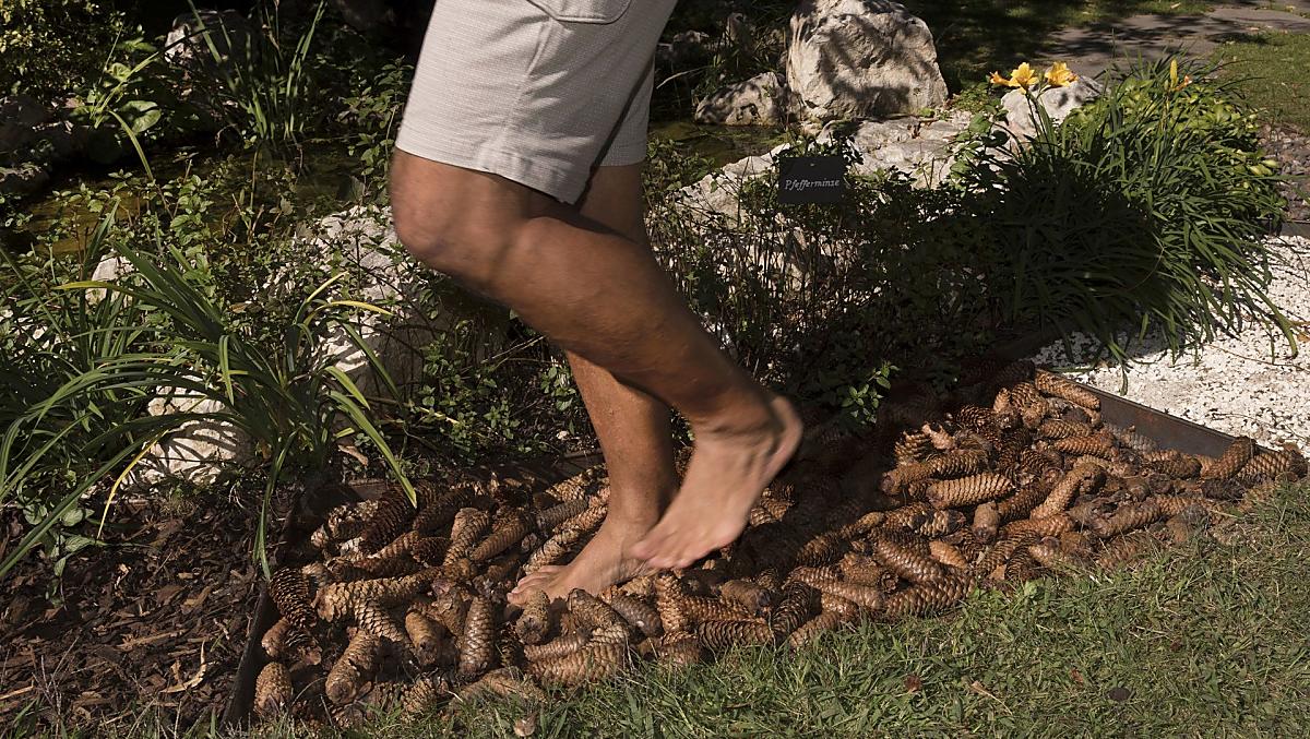 Sentiero a piedi nudi