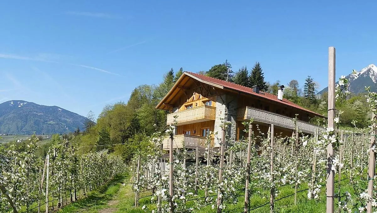 Grannerhof - Bildergalerie Photo