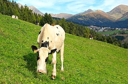 Anratterhof - Liste Photo