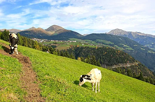Anratterhof - Liste Photo