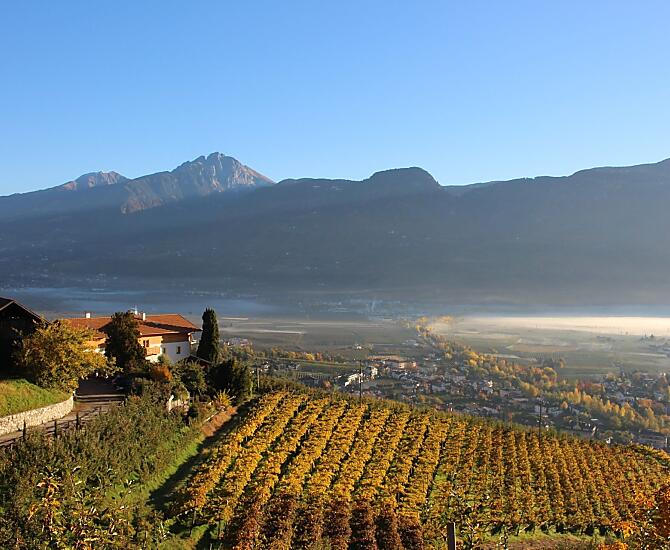 Greiterhof im Herbst