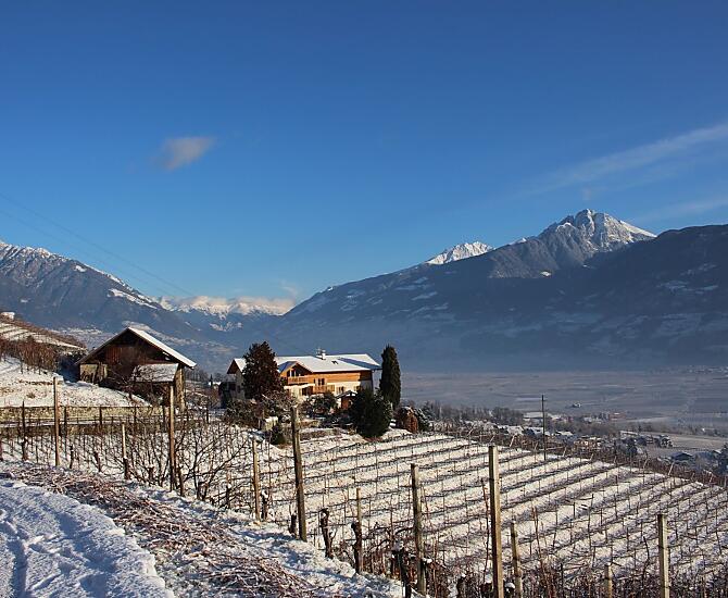 Greiterhof im Winter