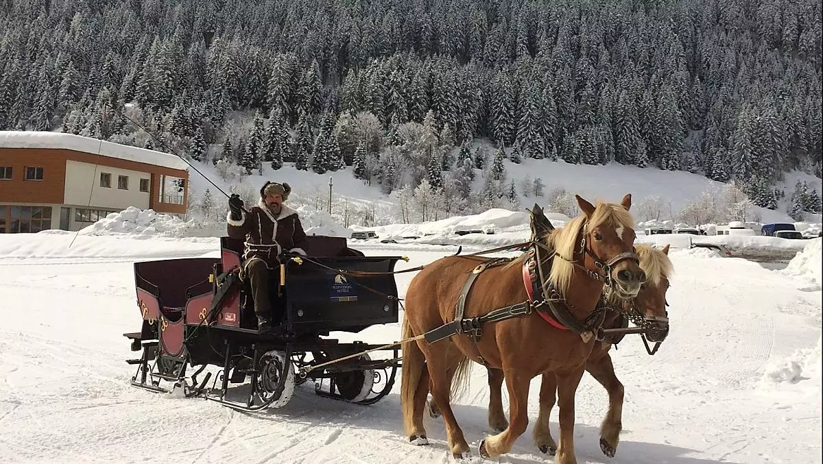 Gita in slitta trainata da cavalli con il cocchiere Lorenz attraverso la Val Ridanna innevata