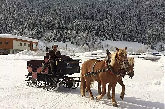 Gita in slitta trainata da cavalli con il cocchiere Lorenz attraverso la Val Ridanna innevata