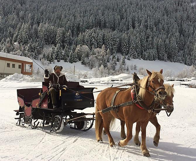 Gita in slitta trainata da cavalli con il cocchiere Lorenz attraverso la Val Ridanna innevata