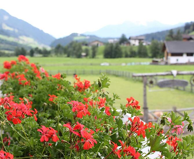 Oberauerhof - Bildergalerie Photo