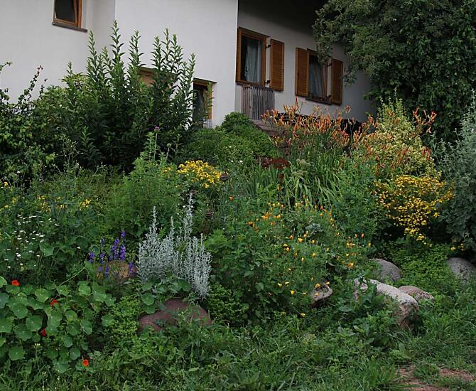 Josef Meraner - Bildergalerie Photo