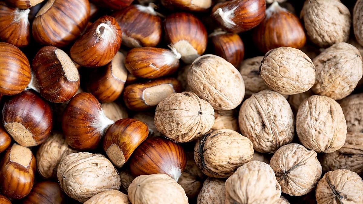 Castagne e noci