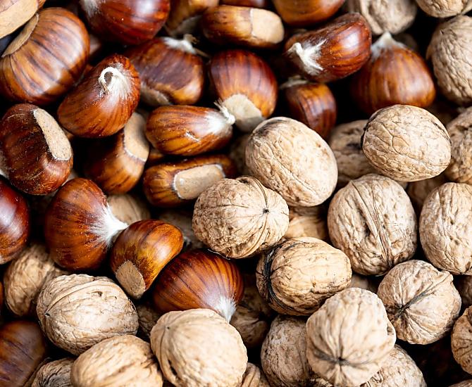 Castagne e noci