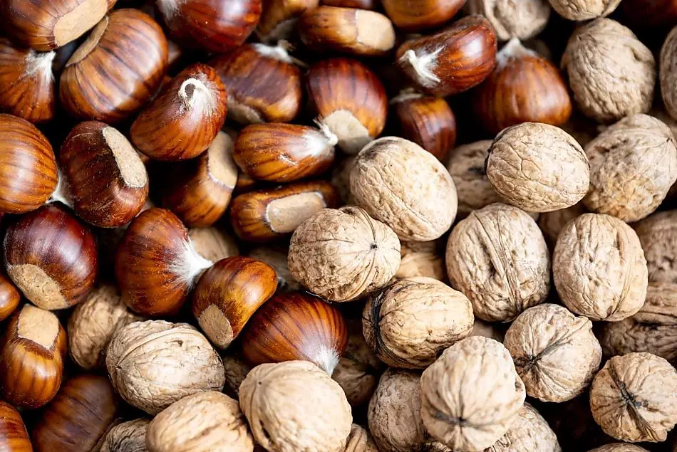 Castagne e noci