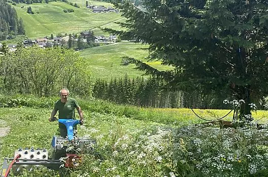 Il contadino che falcia su un terreno ripido