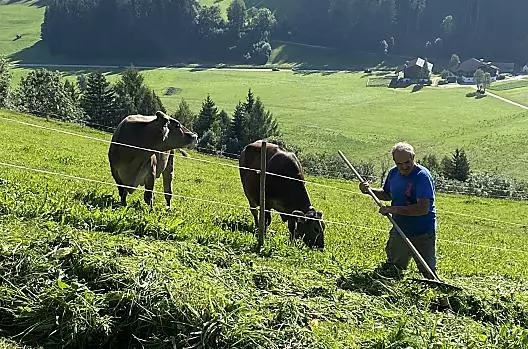 Il contadino durante la raccolta del fieno