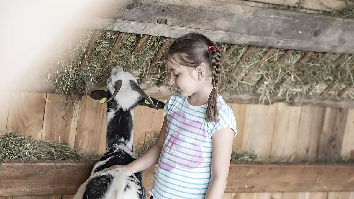 Gli animali adorano essere nutriti e accarezzati dai bambini.