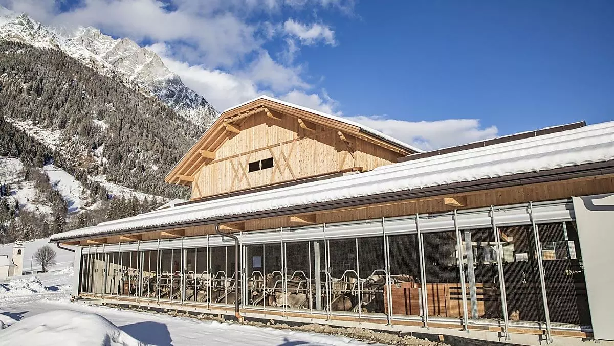 La nostra nuova stalla in inverno. È stata costruita nell'estate del 2020.