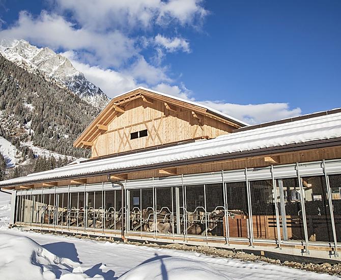 La nostra nuova stalla in inverno. È stata costruita nell'estate del 2020.