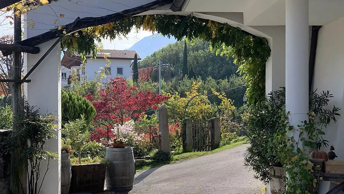 Ingresso del maso