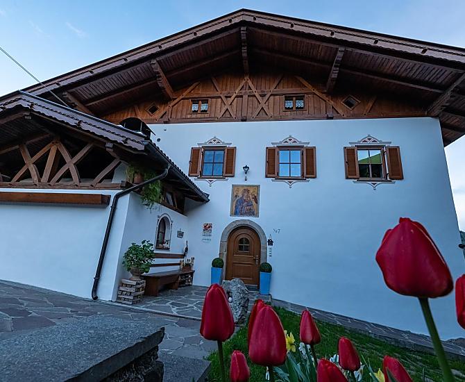 Tschafernaghof - Bildergalerie Photo