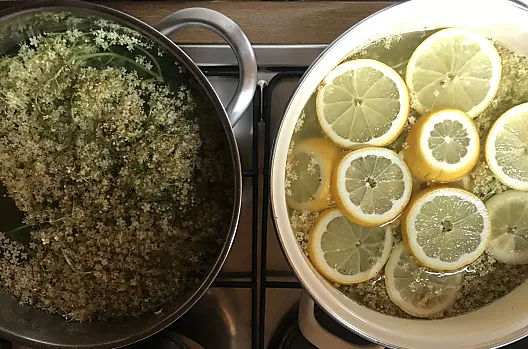 Lo sciroppo di fiori di sambuco rinfresca nelle giornate calde e ha un sapore migliore se fatto in casa.