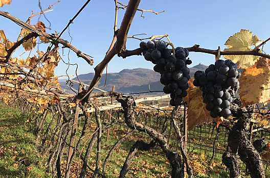 C'è l'allevamento severo dell'inverno, che si attacca gelidamente alla terra, c'è l'aria di calce della primavera, che risveglia in modo lusinghiero i nostri campi.