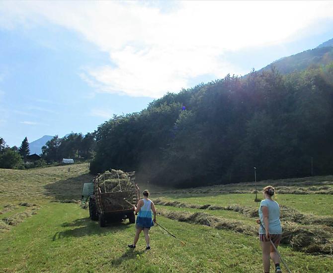 Lavorare con il fieno