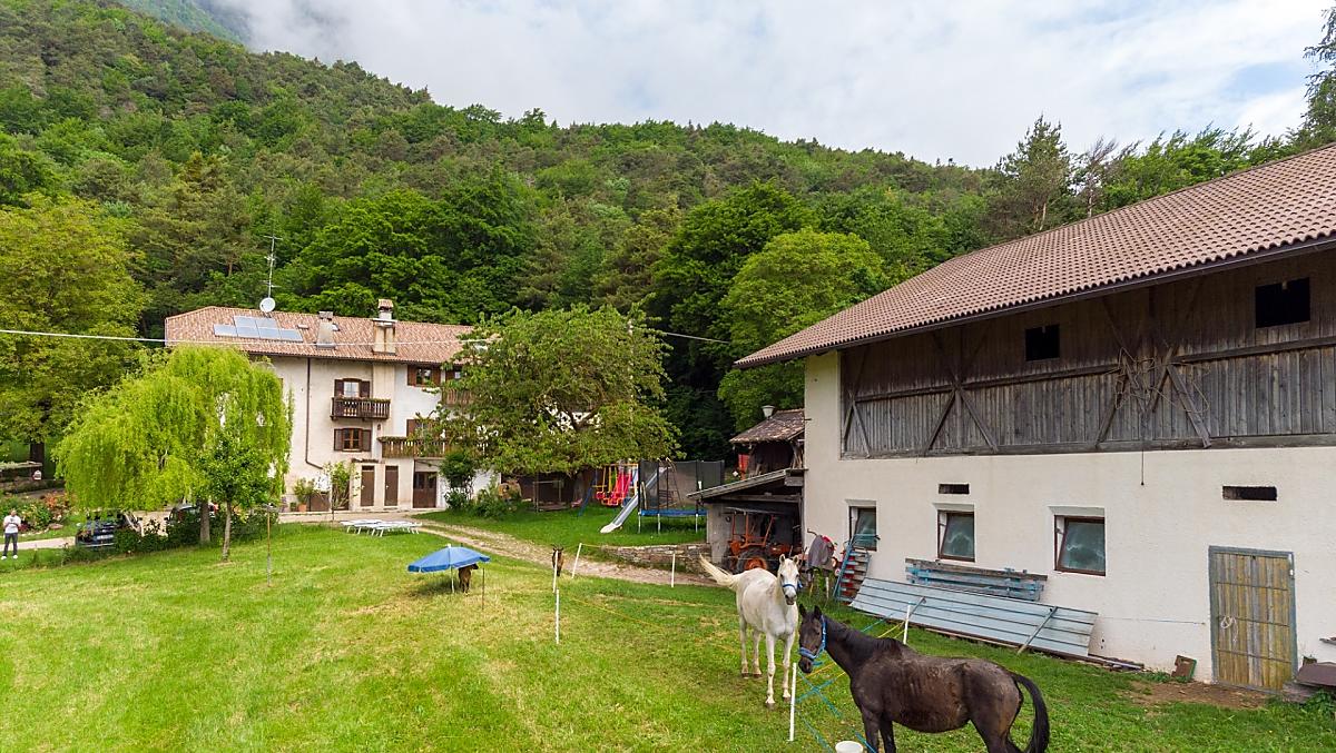 Ungerer Hof - Bildergalerie Photo