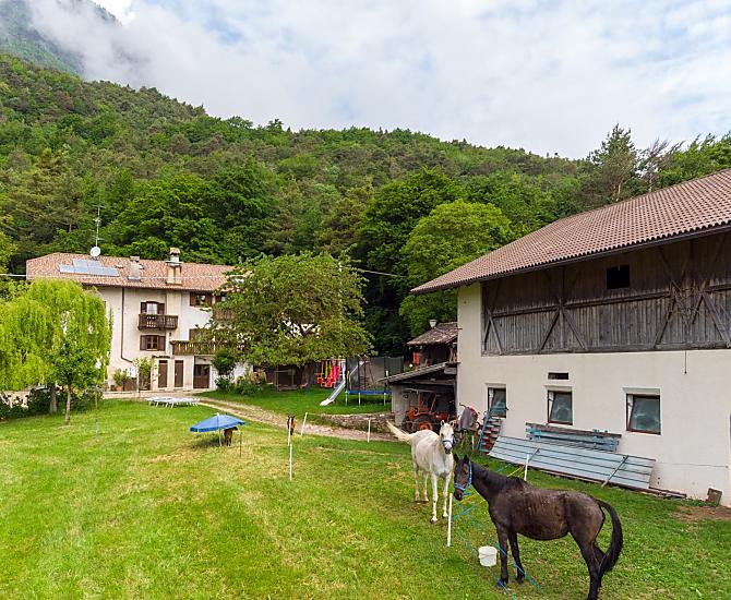 Ungerer Hof - Bildergalerie Photo