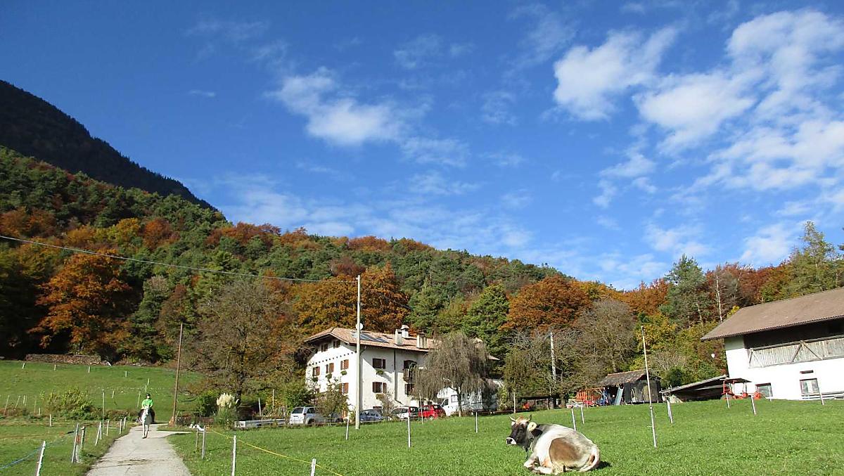 Ungerer Hof - Bildergalerie Photo