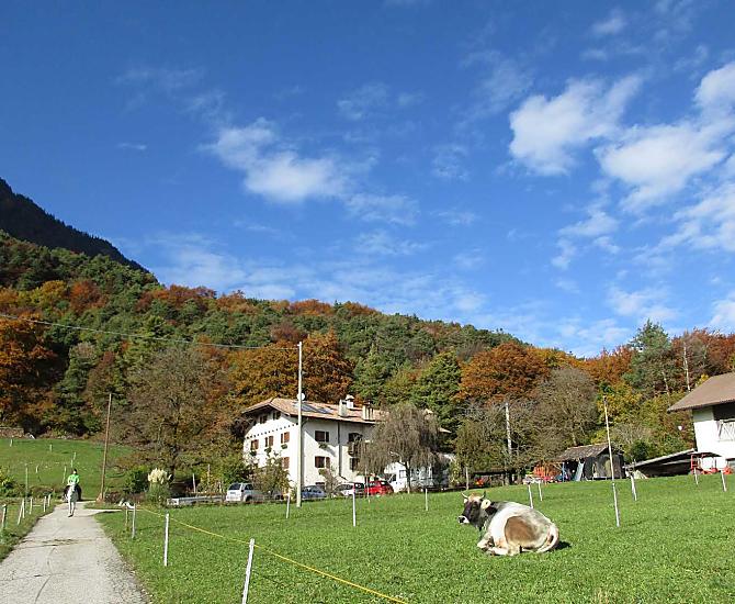 Ungerer Hof - Bildergalerie Photo