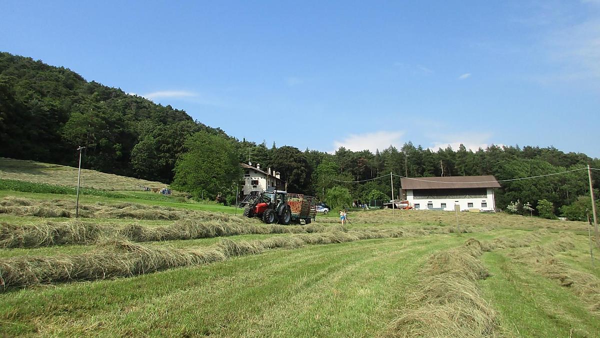 La fienagione
