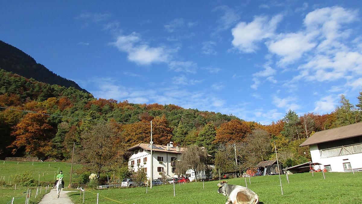Ungerer Hof - Bildergalerie Photo