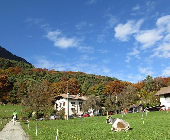 Ungerer Hof - Bildergalerie Photo