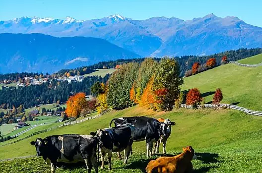 Obermichelerhof - Liste Photo