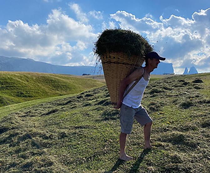 Raccolta del fieno sull'Alpe di Siusi
