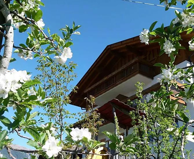 Fiori di melo