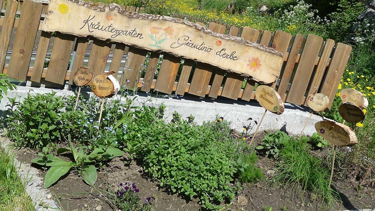 Le erbe vengono coltivate nel giardino delle erbe: rosmarino, salvia, erba cipollina, timo, menta e origano. 